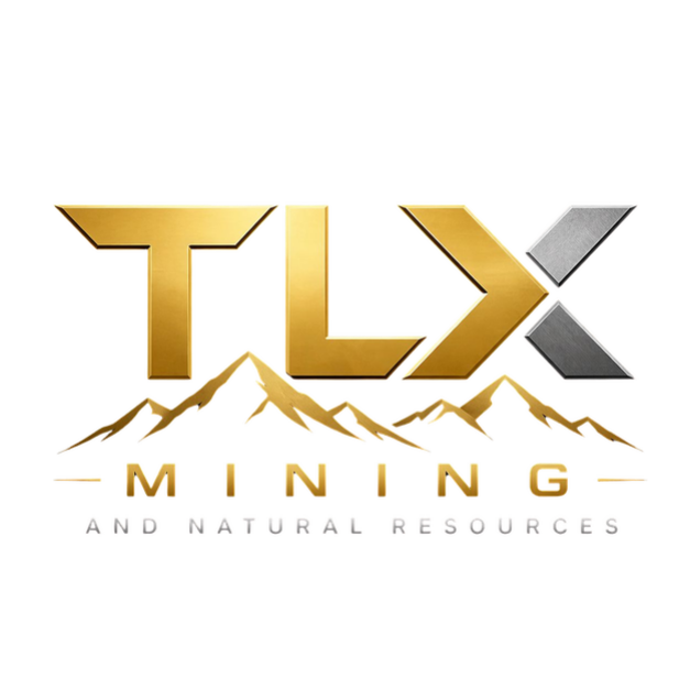 TLX Logo